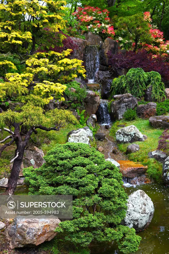 Sunken Garden Pond, Japanese Tea Garden, San Francisco, California