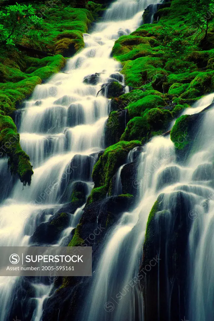 USA, Oregon, Proxy Falls near McKenzie Pass
