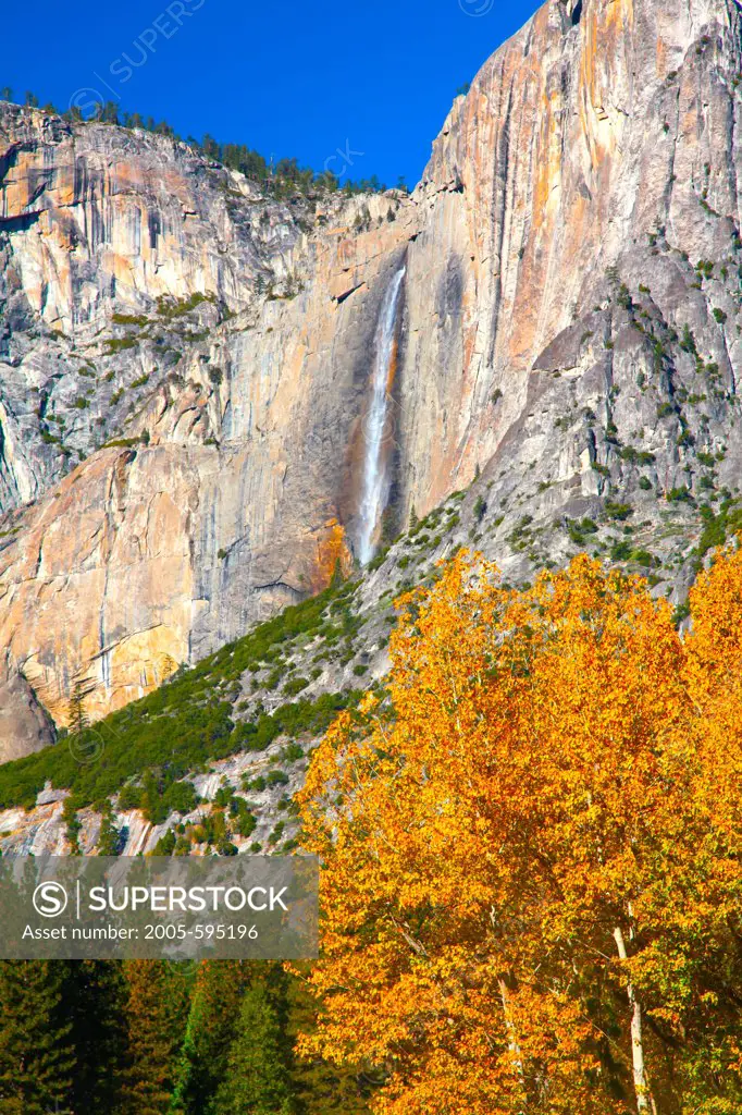 USA, California, Yosemite National Park, Upper Yosemite Fall framed by fall foliage