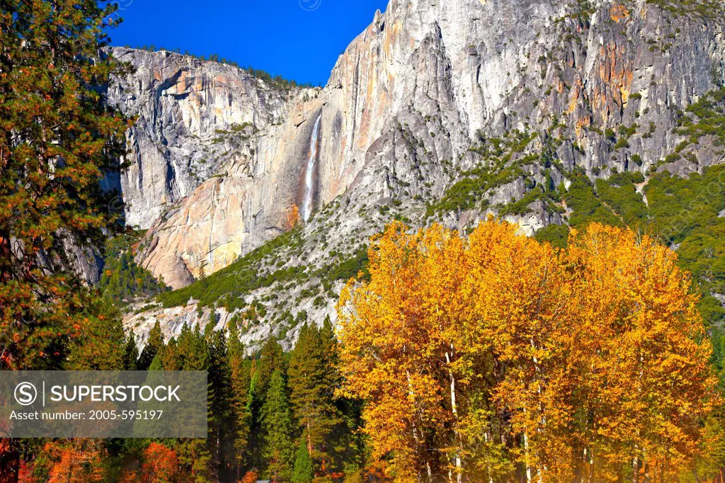 USA, California, Yosemite National Park, Upper Yosemite Fall framed by fall foliage