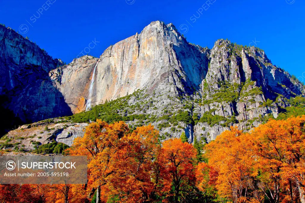 USA, California, Yosemite National Park, Upper Yosemite Fall above fall foliage