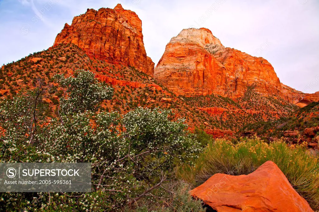 Sandstone rock formations, Mt Spry, East Temple, Zion National Park, Utah, USA