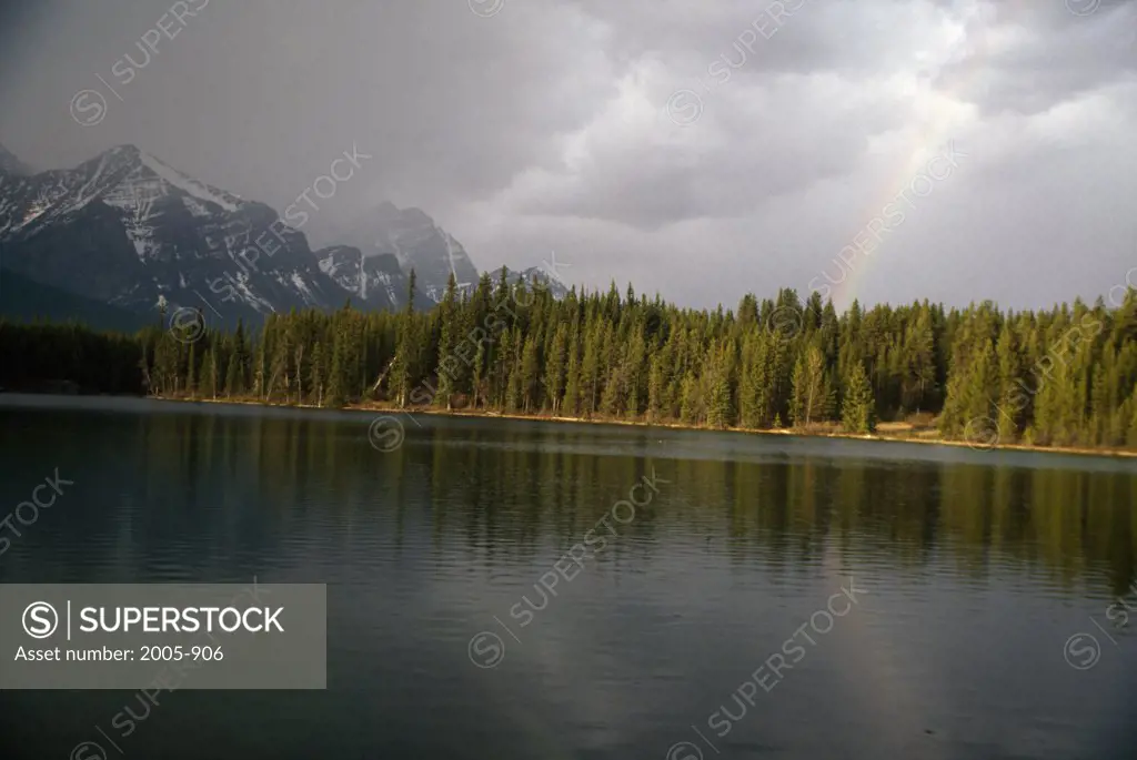 Herbert Lake Banff National Park Alberta, Canada