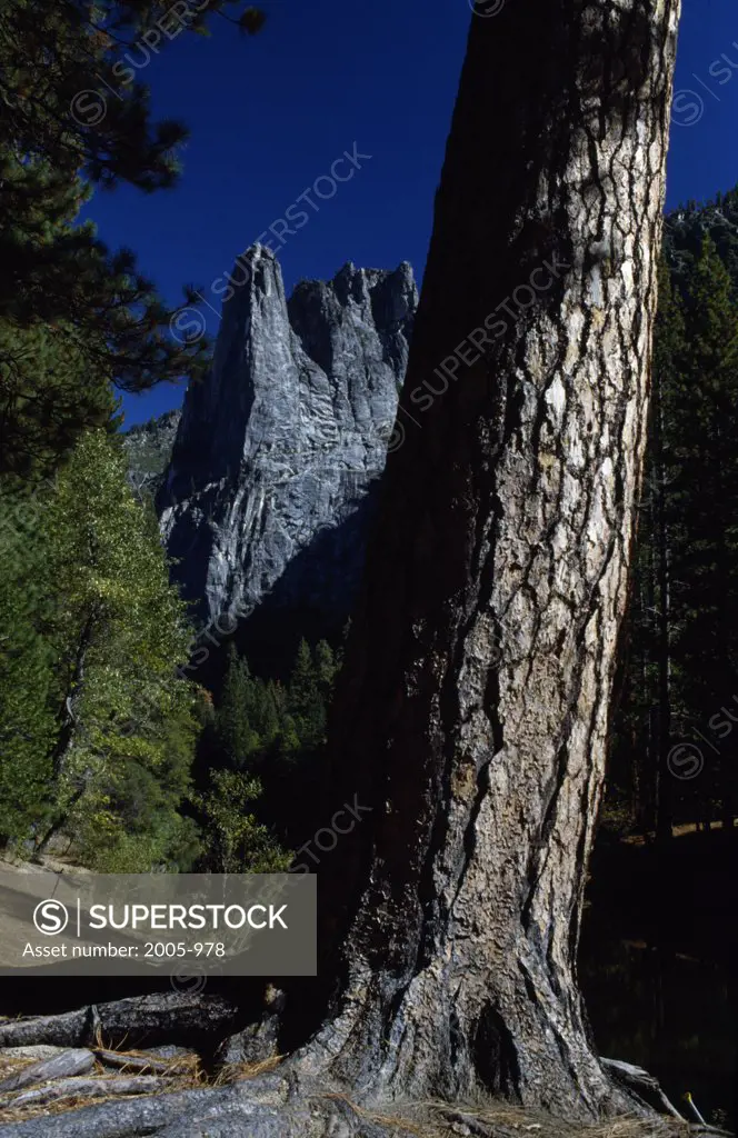 Sentinel Rock Yosemite National Park California USA