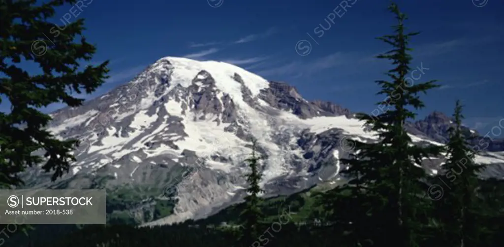 Mount Rainier Mount Rainier National Park Washington USA