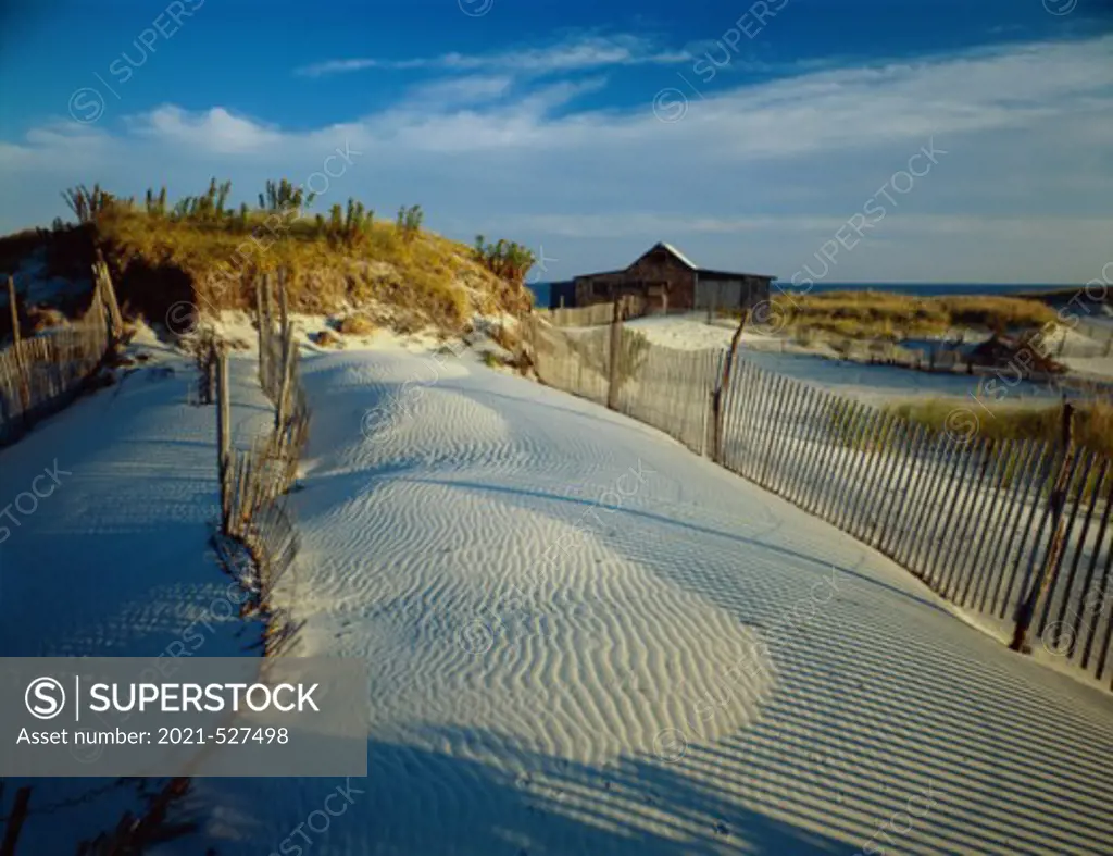Drift Fence, Island Beach State Park, New Jersey, USA