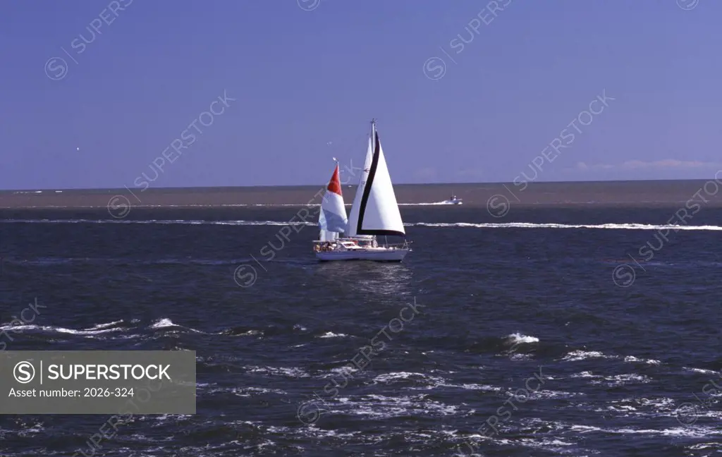Sailboats at sea, Charleston Harbor, South Carolina, USA