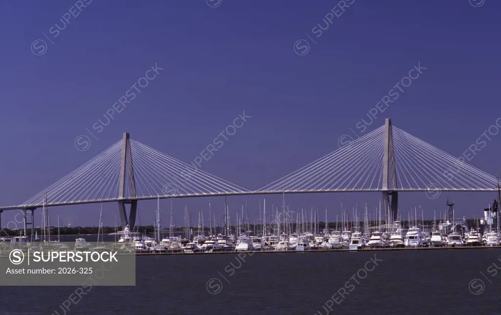 Bridge across a river, Arthur Ravenel Jr. Bridge, Cooper River, Charleston, South Carolina, USA