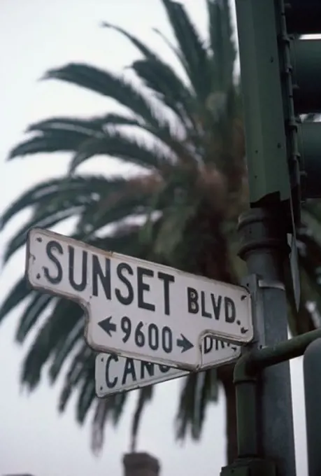Sunset Boulevard Los Angeles California USA