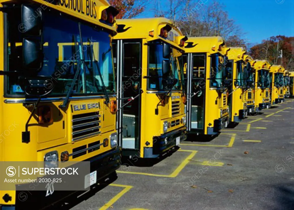 An array of school buses, Gloucester, Massachusetts, USA