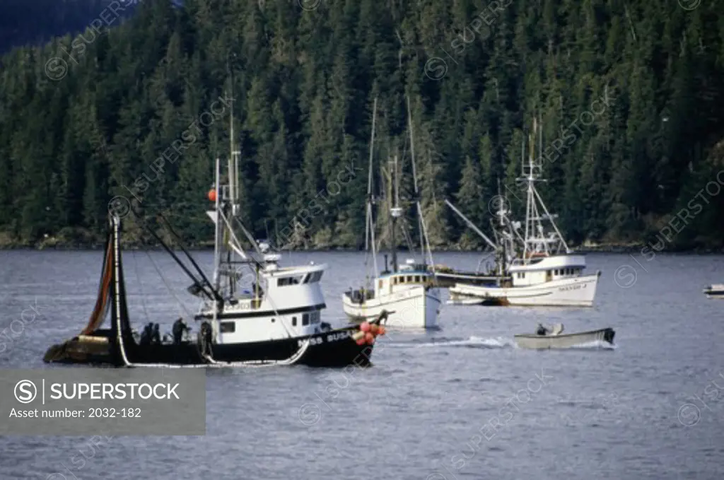 Seine Boats Herring Roe Fishery Sitka Alaska USA