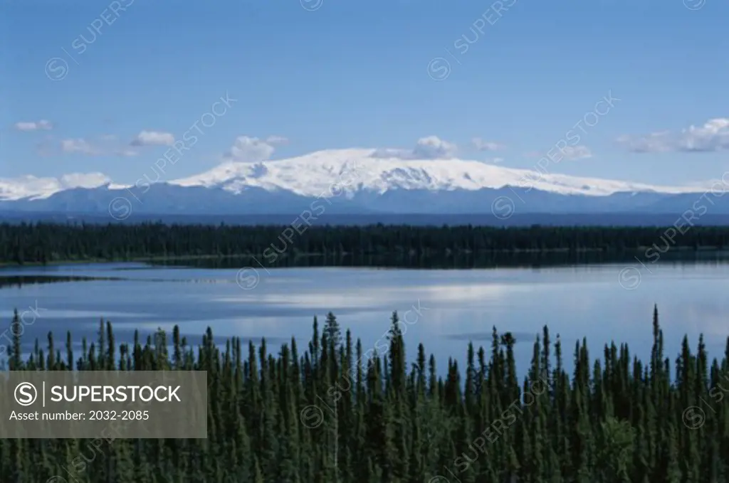 Willow Lake Alaska USA