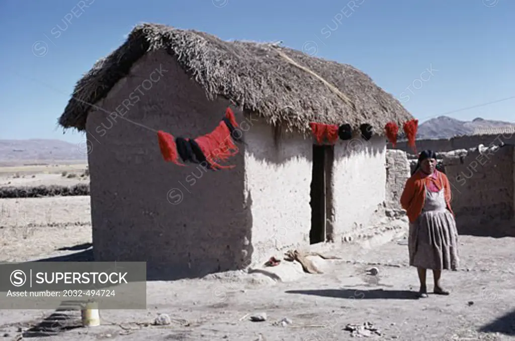 Campesino Woman Dying Wool Bolivian Altiplano La Paz Bolivia