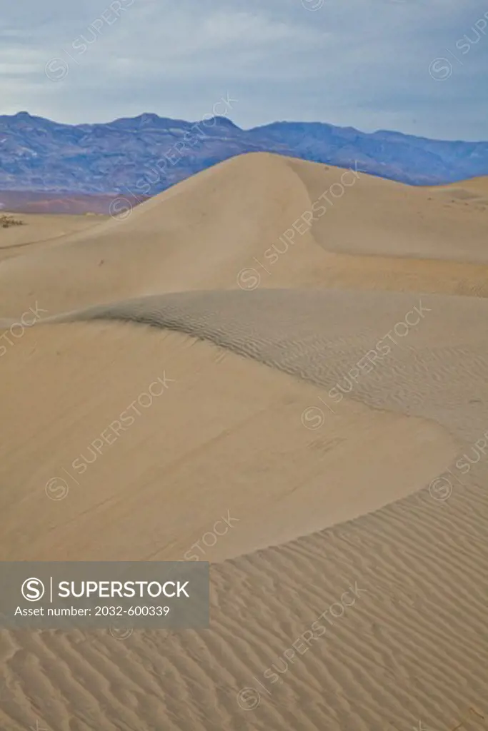 Sand dunes in a desert, Death Valley, Death Valley National Park, California, USA