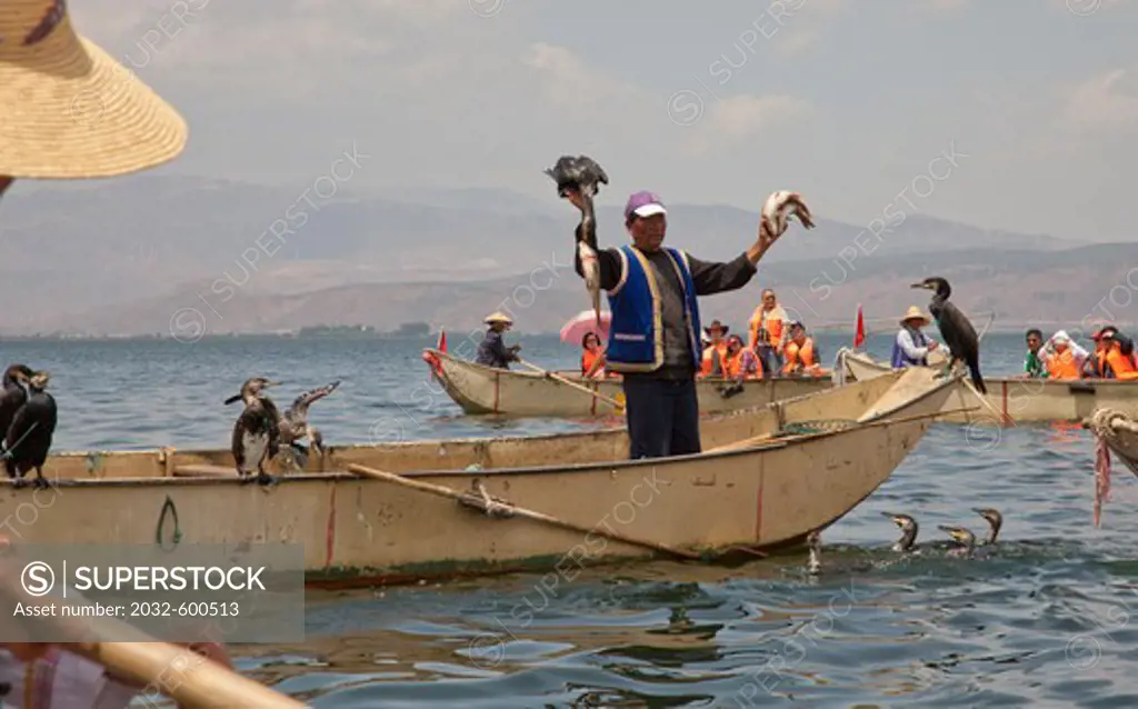 China, Yunnan, Lake Erha, cormorant fishing boats on lake