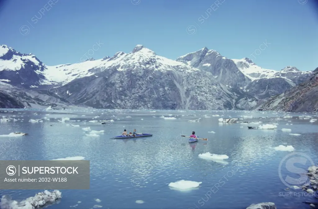 Glacier Bay  Alaska USA