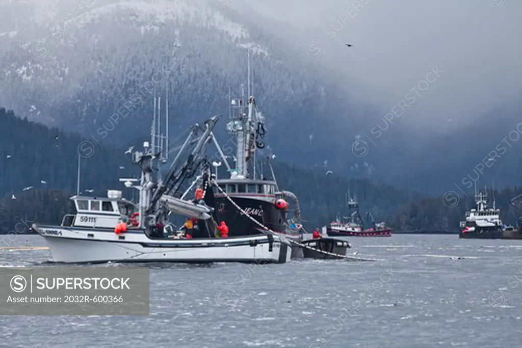 USA, Alaska, Sitka, Seining for herring