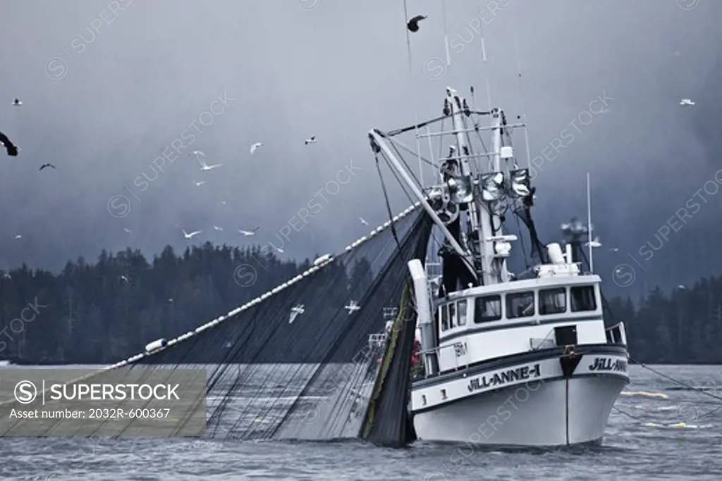 USA, Alaska, Sitka, Seining for herring