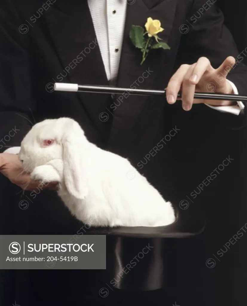 Mid section view of a magician pulling a rabbit out of a hat