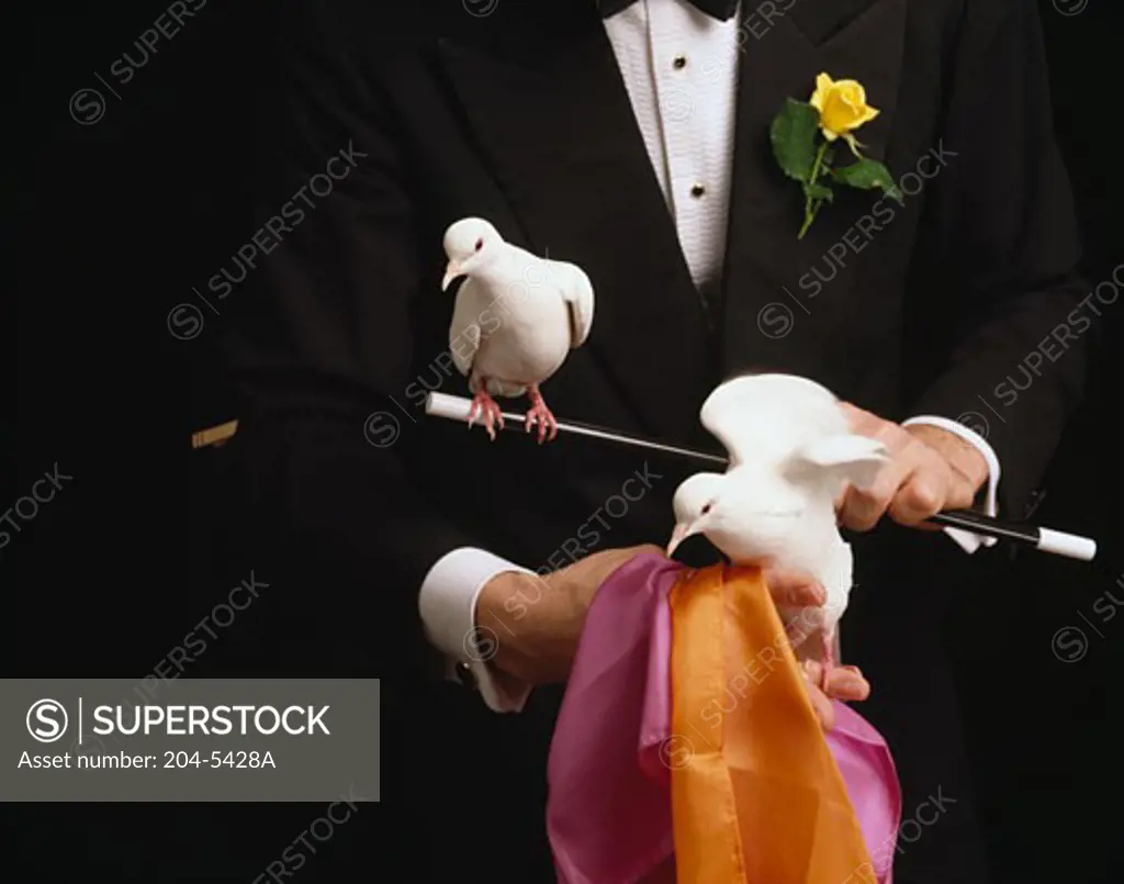 Magician with doves, scarves, and wand