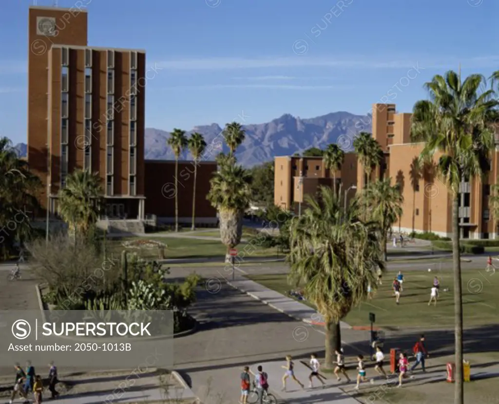 University of Arizona Tucson Arizona USA