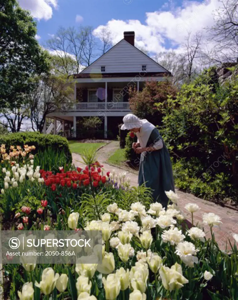 Side profile of a mature woman standing in a garden, Van Cortlandt Manor, Croton-on-Hudson, New York, USA