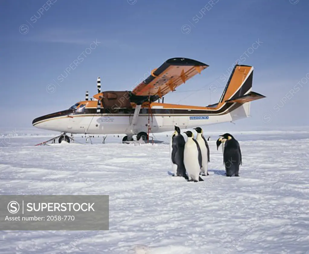 "Twin Otter" Penguin Camp Antarctica