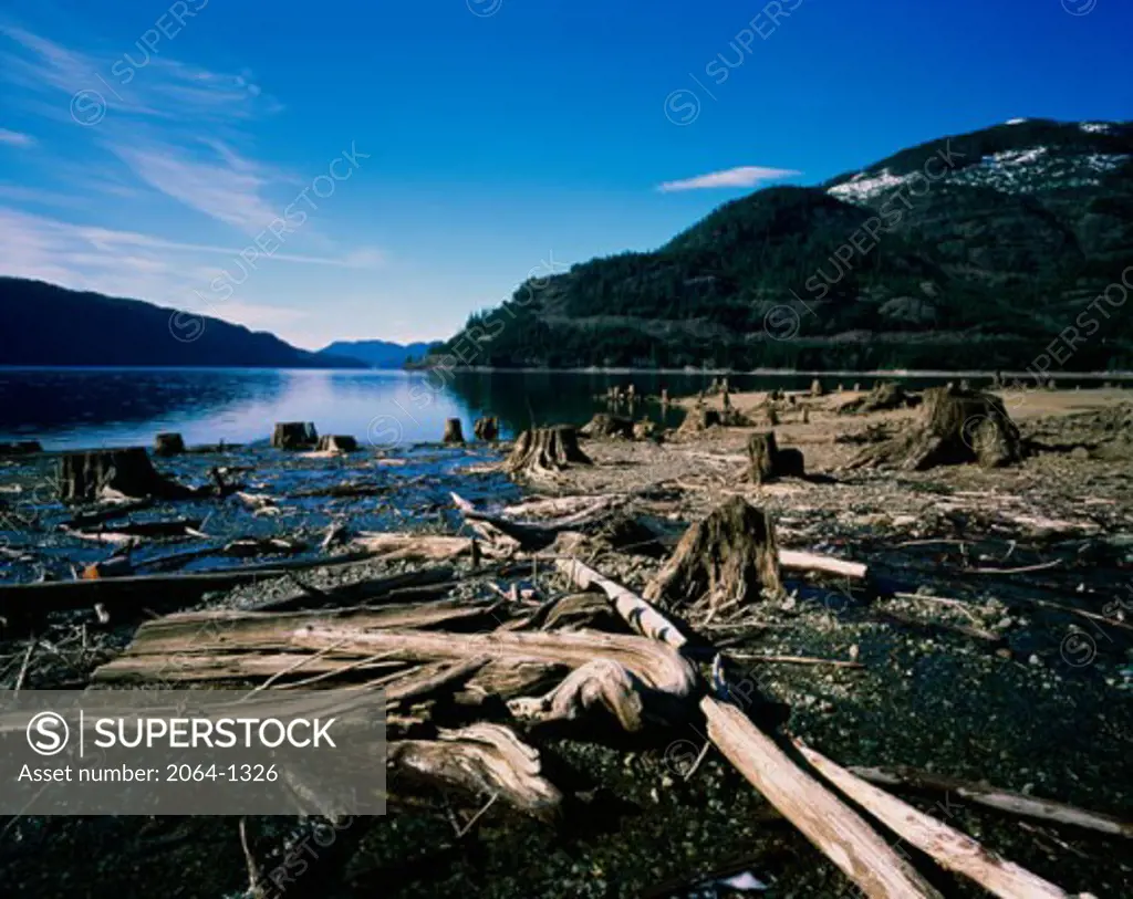 Logging on a river, Gold River, British Columbia, Canada