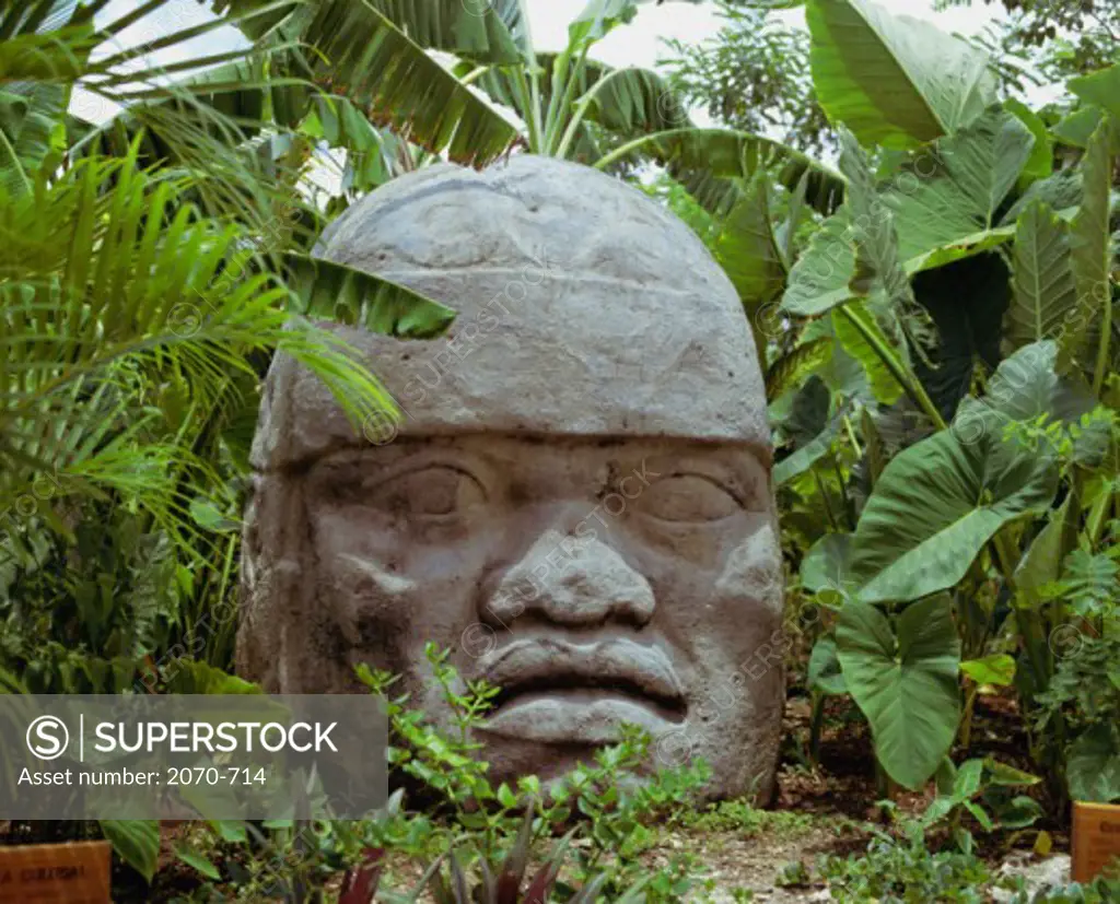 Olmec Head Replica Archeological Park Cozumel Mexico