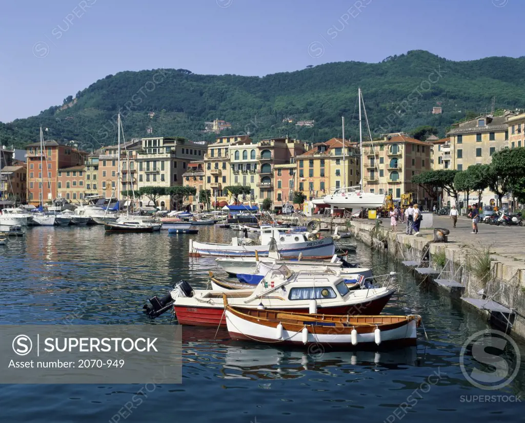 Santa Margherita  Liguria  Italy