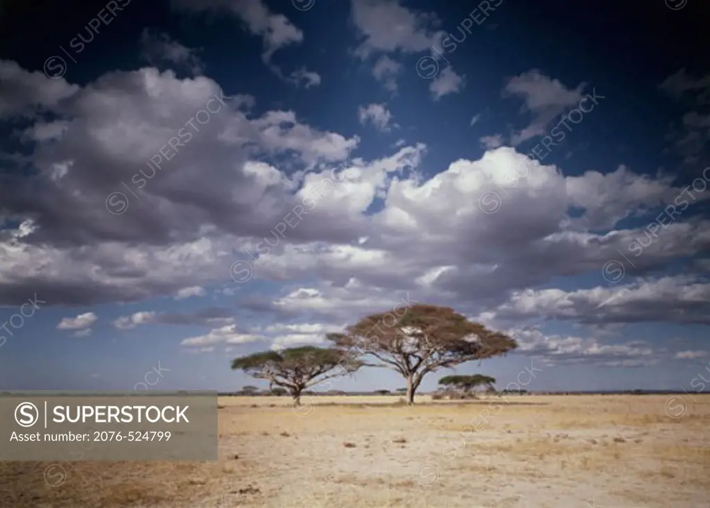 Amboseli National ParkKenya