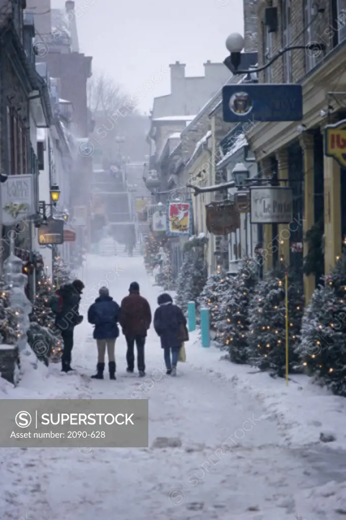 Rear view of four people walking in an alley, Le Petit Champlain, Quebec City, Quebec, Canada