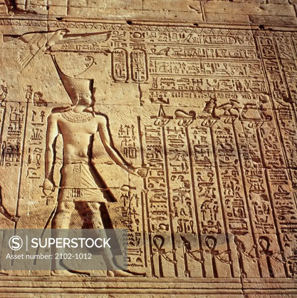 Hieroglyphics from the Temple of Hathor Dendera, Egypt Egyptian Art 