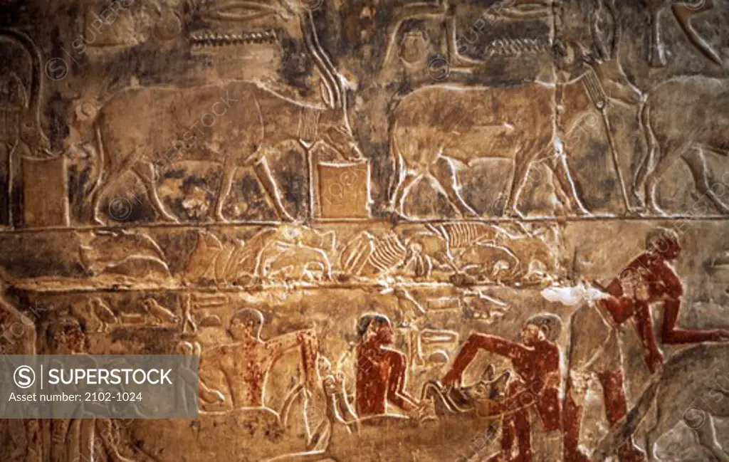Egypt, Saqqara, Painting in Mastaba of Mereruka