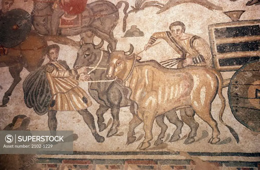 Italy, Sicily, Piazza Armerina, Villa of Casale, Mosaic with pair of oxen, 2nd-4th C. A.D.