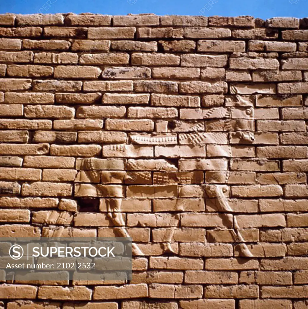 Bull Babylon Ruins Iraq