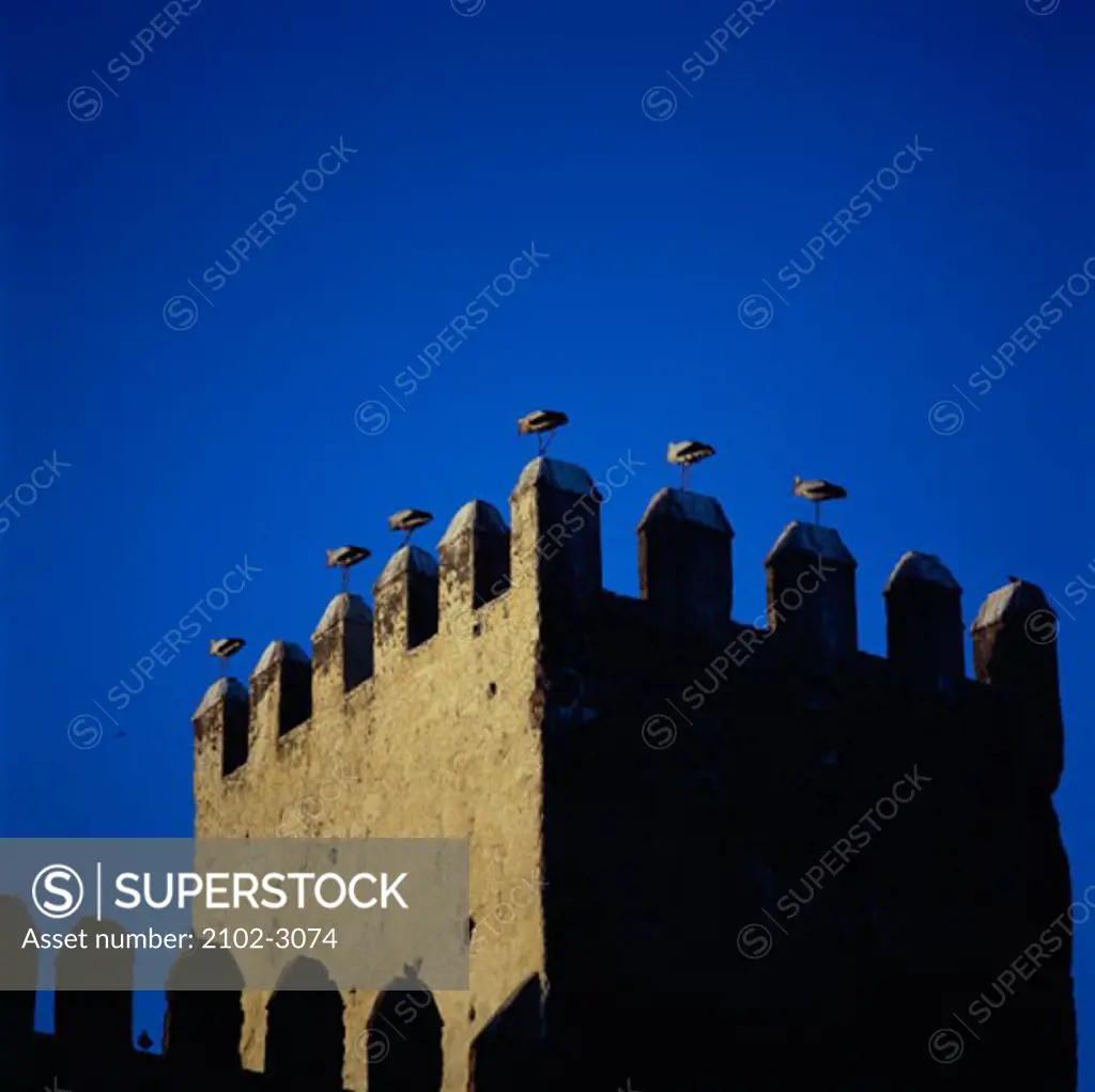 Facade of a tower, Fez, Morocco