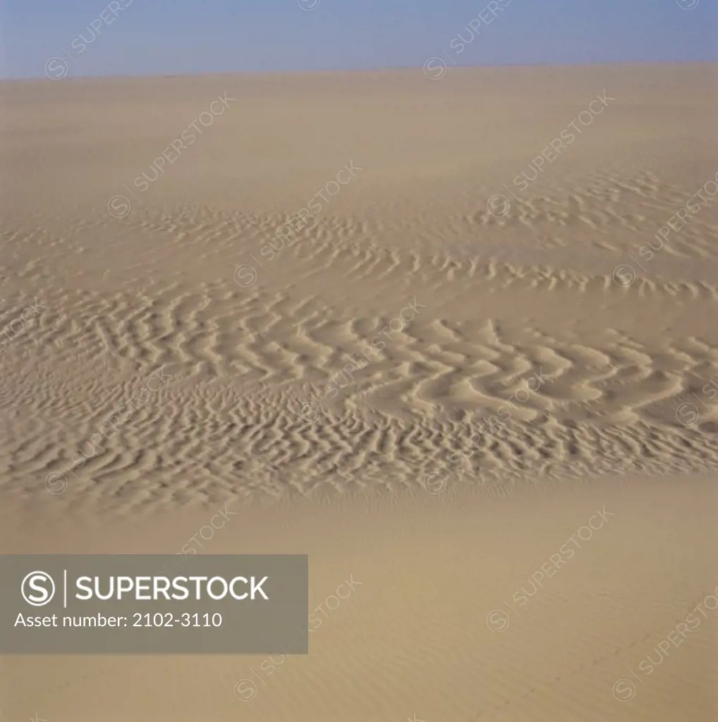 Panoramic view of a desert, Tenere Desert, Sahara Desert, Niger