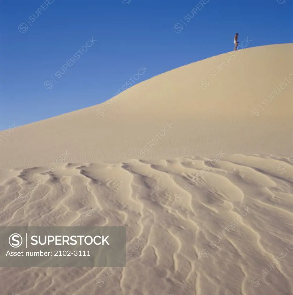 Low angle view of a man walking in a desert, Tenere Desert, Sahara Desert, Niger