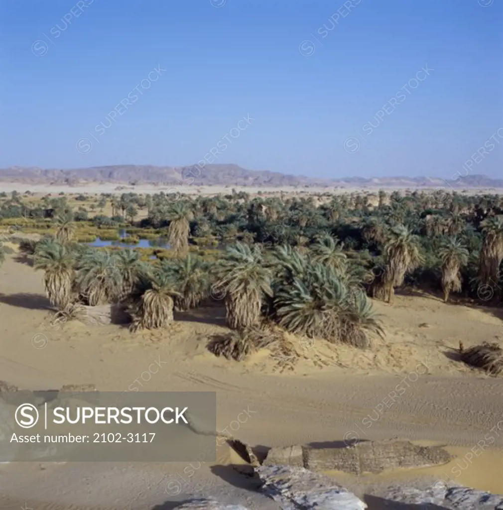 High angle view of an oasis in a desert, Djado, Niger
