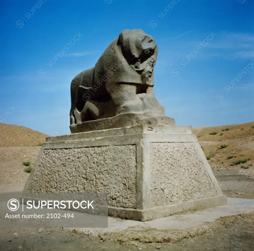 Lion Babylon Ruins Iraq