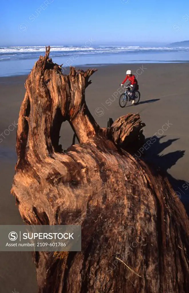USA, Northern Oregon coast near Manzanita, Cyclist on beach