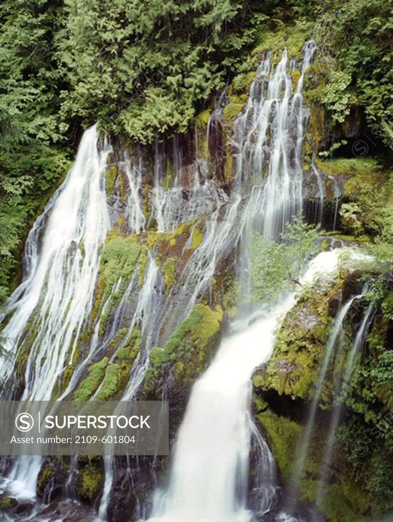 USA, Washington, Gifford Pinchot National Forest, Panther Creek Falls