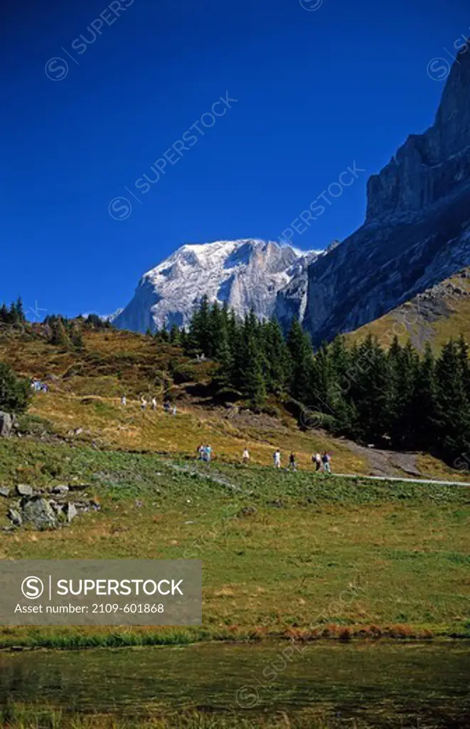 Switzerland, Hikers below Grosse Scheidegg, Wellhorn in background