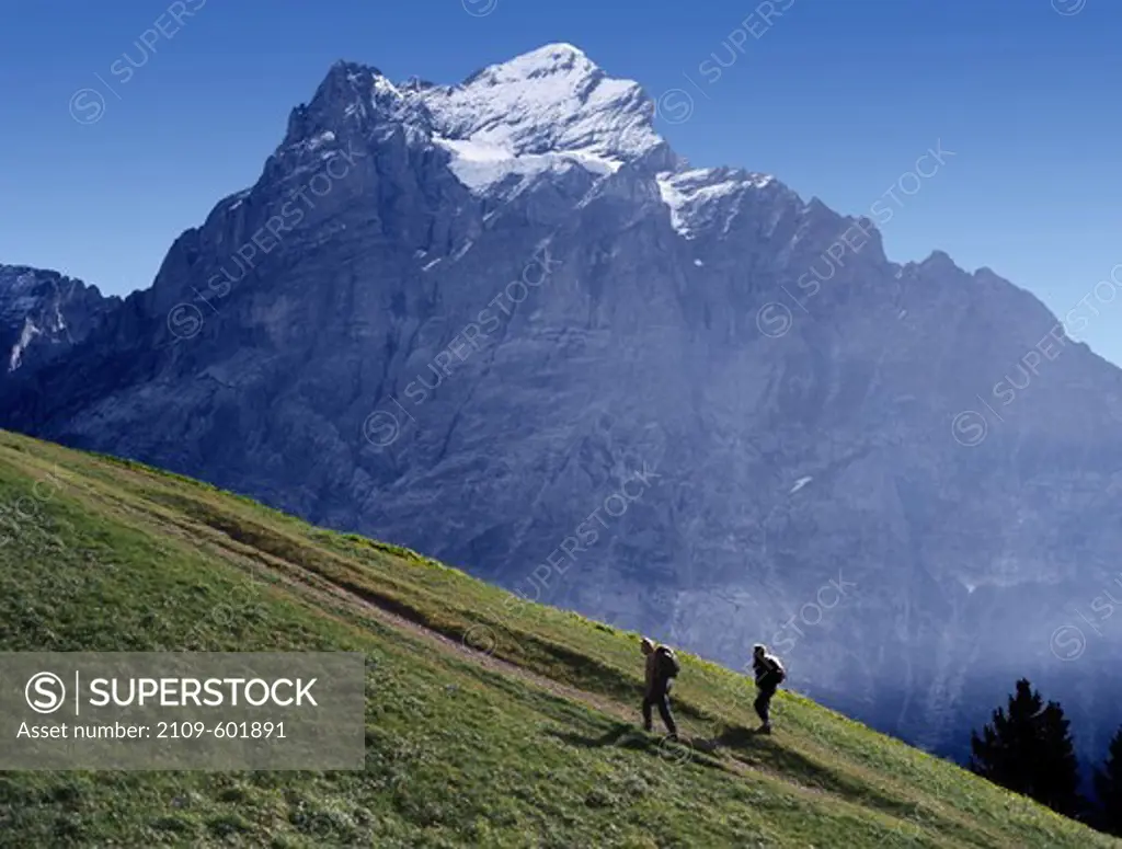 Hikers in the Lotschental valley with Breithorn mountain in the background, Valais Canton, Switzerland