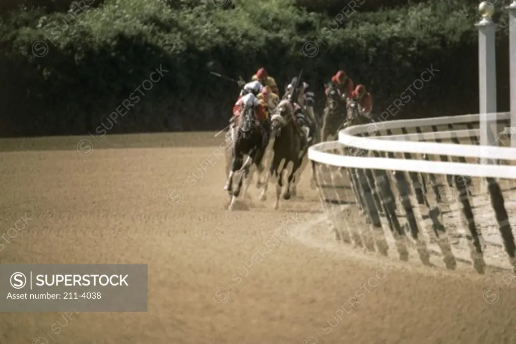 Group of jockeys riding horses in a race
