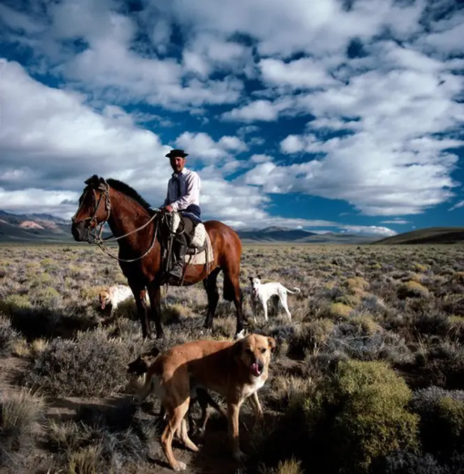 Argentina, Chubut, Patagonia, Esquel, Sub- Andean Prairies, man on horse with dogs around