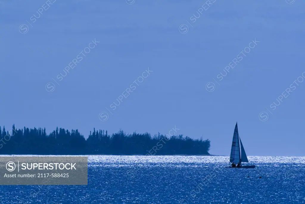 Sailboat in the ocean, Hanalei Bay, Kauai, Hawaii, USA