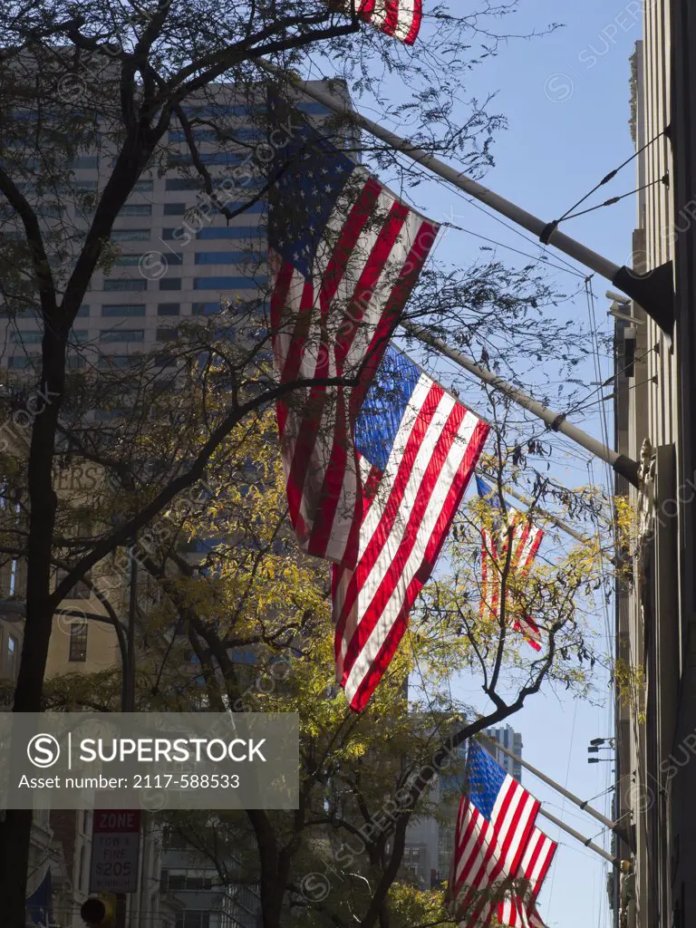 Low angle view of American flags, Fifth Avenue, Manhattan, New York City, New York State, USA