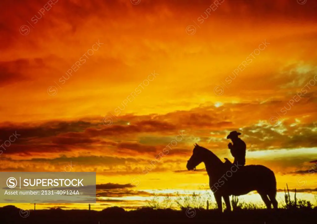 Silhouette of a person on horseback
